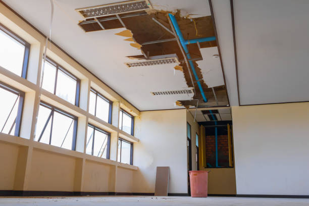 Best Mold removal after water damage  in Landmk, AR