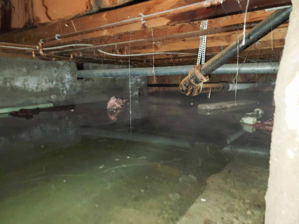 Best Water damage repair service  in Landmk, AR