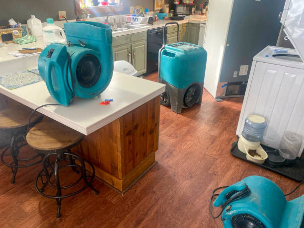 Best Ceiling water damage repair  in Landmk, AR