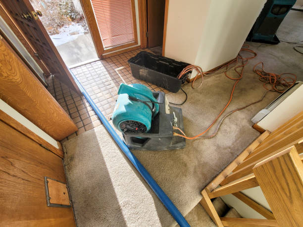 Best Carpet water damage restoration  in Landmk, AR