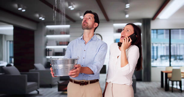 Best Fire Damage Restoration  in Landmk, AR